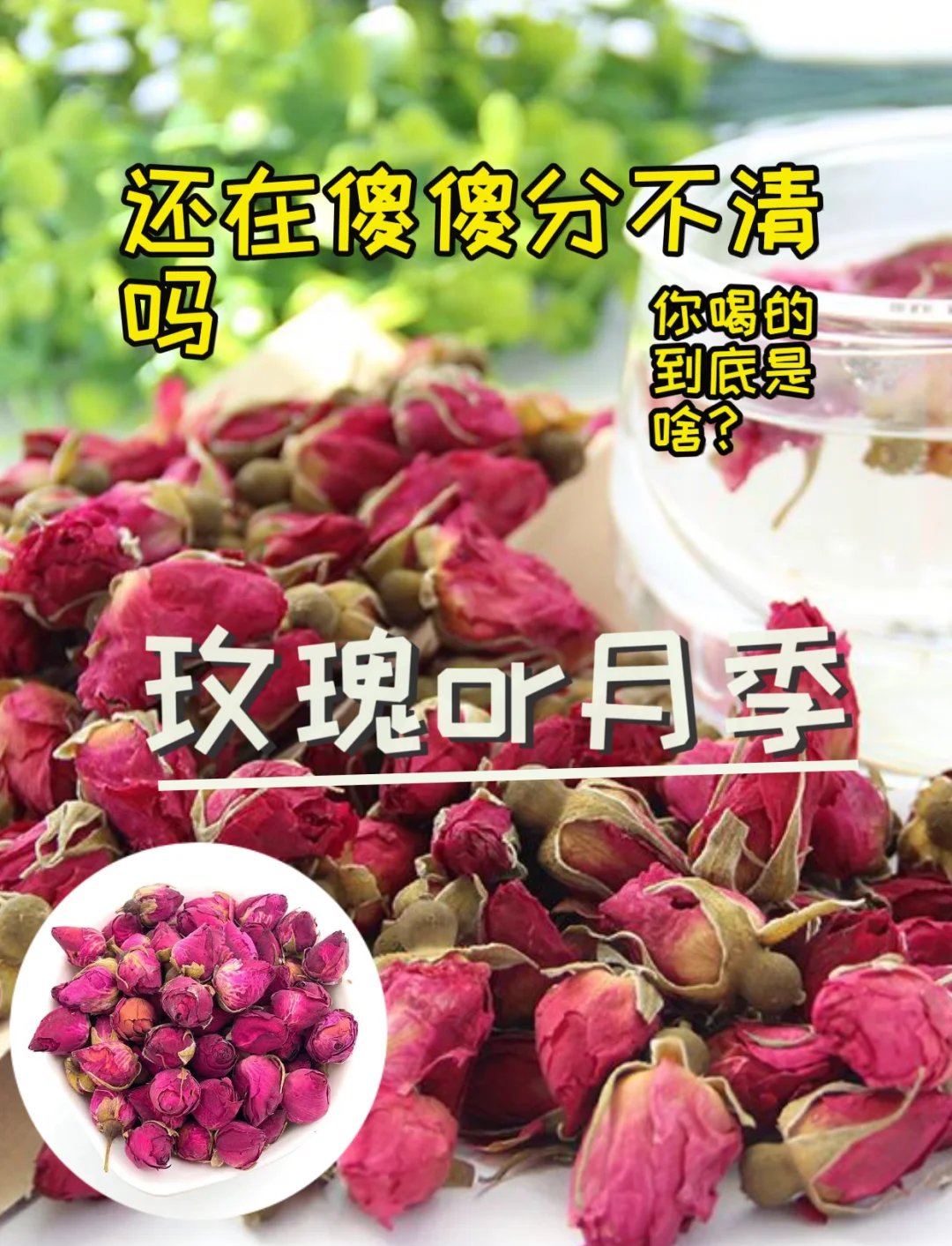 太平洋下载中心